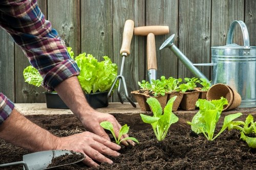 Accessible landscaping content layout in Camdentown