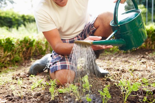 A finished fresh lawn created by professional turf laying in Camdentown