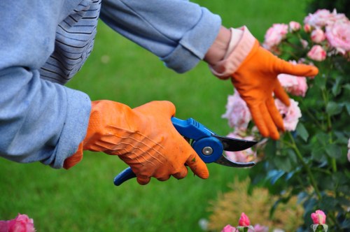 Annual review of anti-slavery controls in landscaping