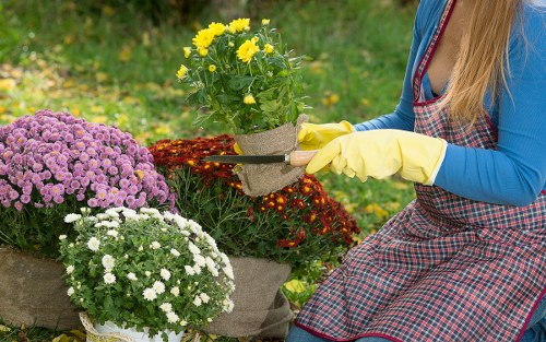 Policy review for safe landscaping practices and continuous improvement