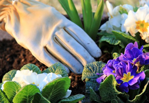 Final complaint review for a landscaping service with documents