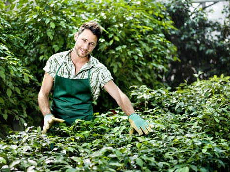 Patio, paving, and lawn improvements for a local outdoor space
