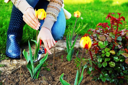 Border planting and garden soft landscaping at a Camdentown home