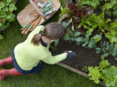 Local hard landscaping contractor planning a project in Camdentown